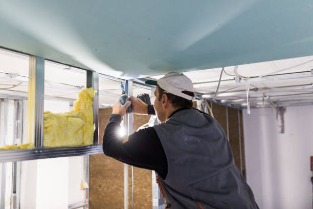 Best Cellulose Insulation in Coeburn, VA