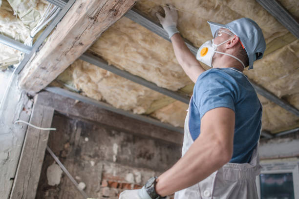 Types of Insulation We Offer in Coeburn, VA
