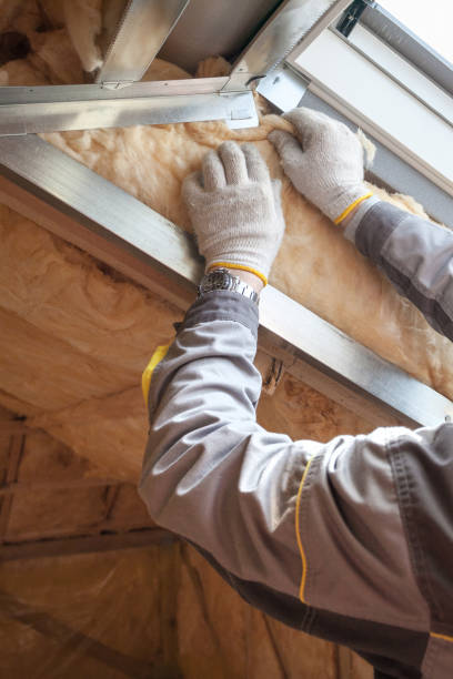 Best Fiberglass Insulation in Coeburn, VA