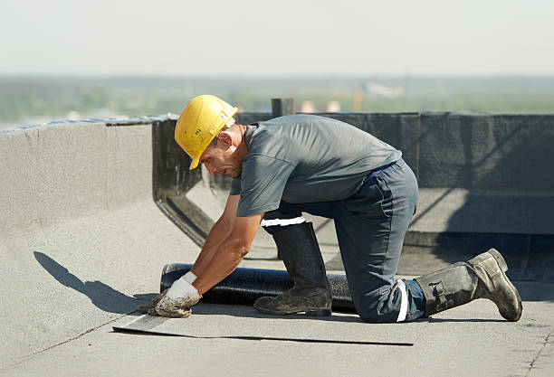 Best Specialized Insulation Services in Coeburn, VA