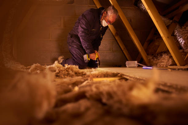 Professional Insulation Contractor in Coeburn, VA