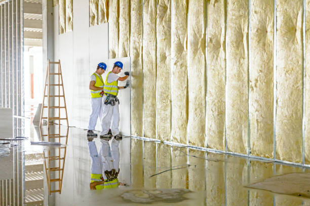 Best Geographic-Specific Insulation Services in Coeburn, VA